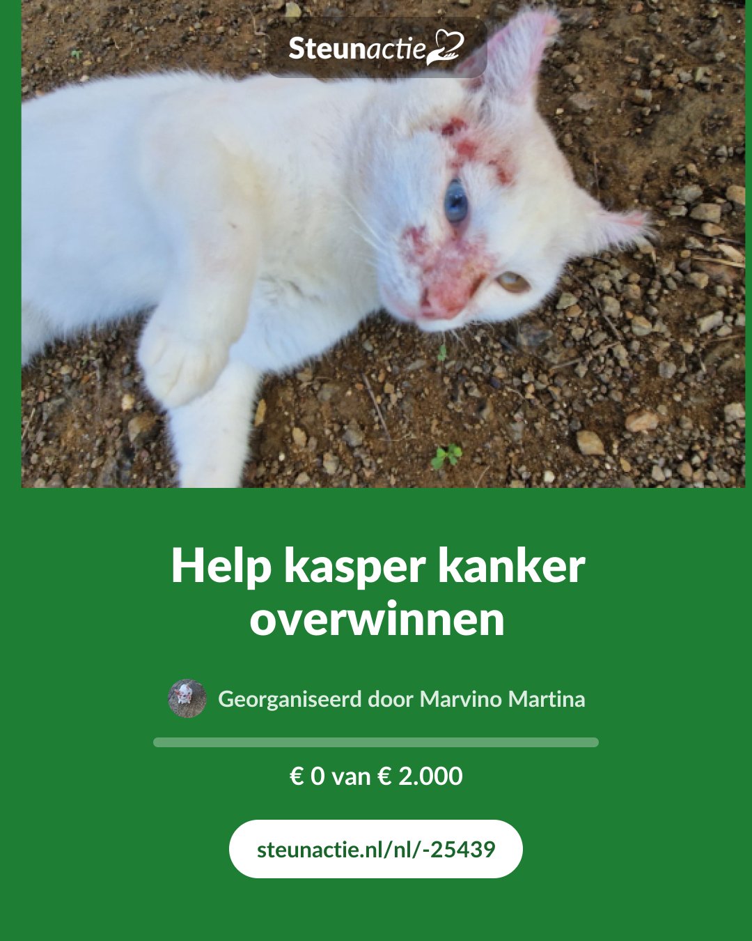 Voorbeeld van de afbeelding