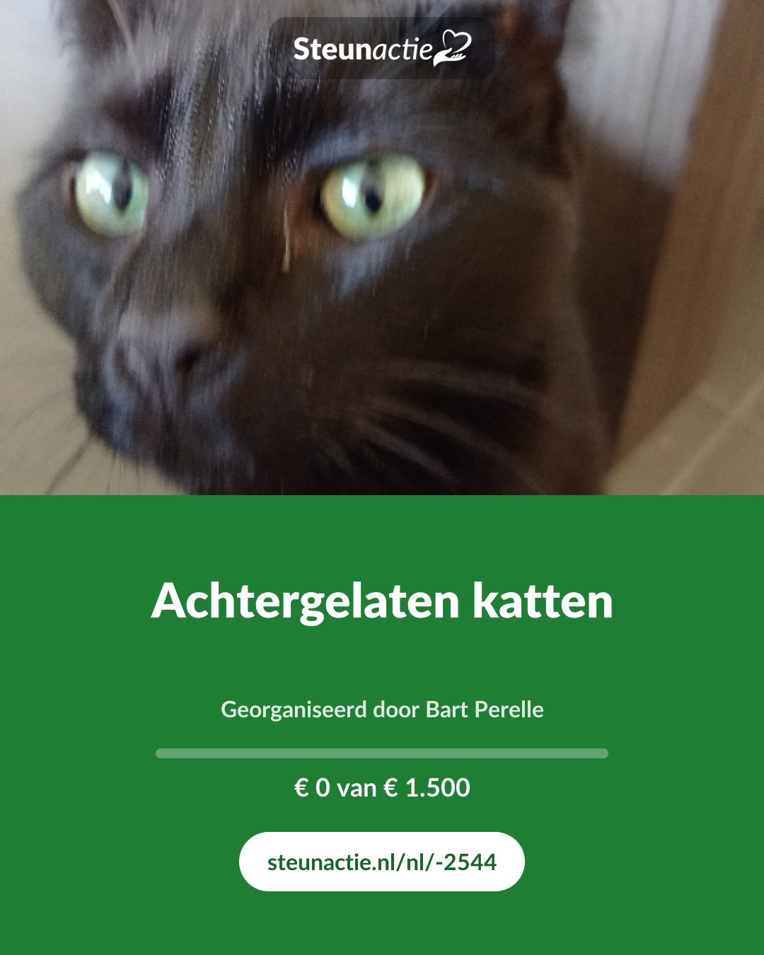 Voorbeeld van de afbeelding