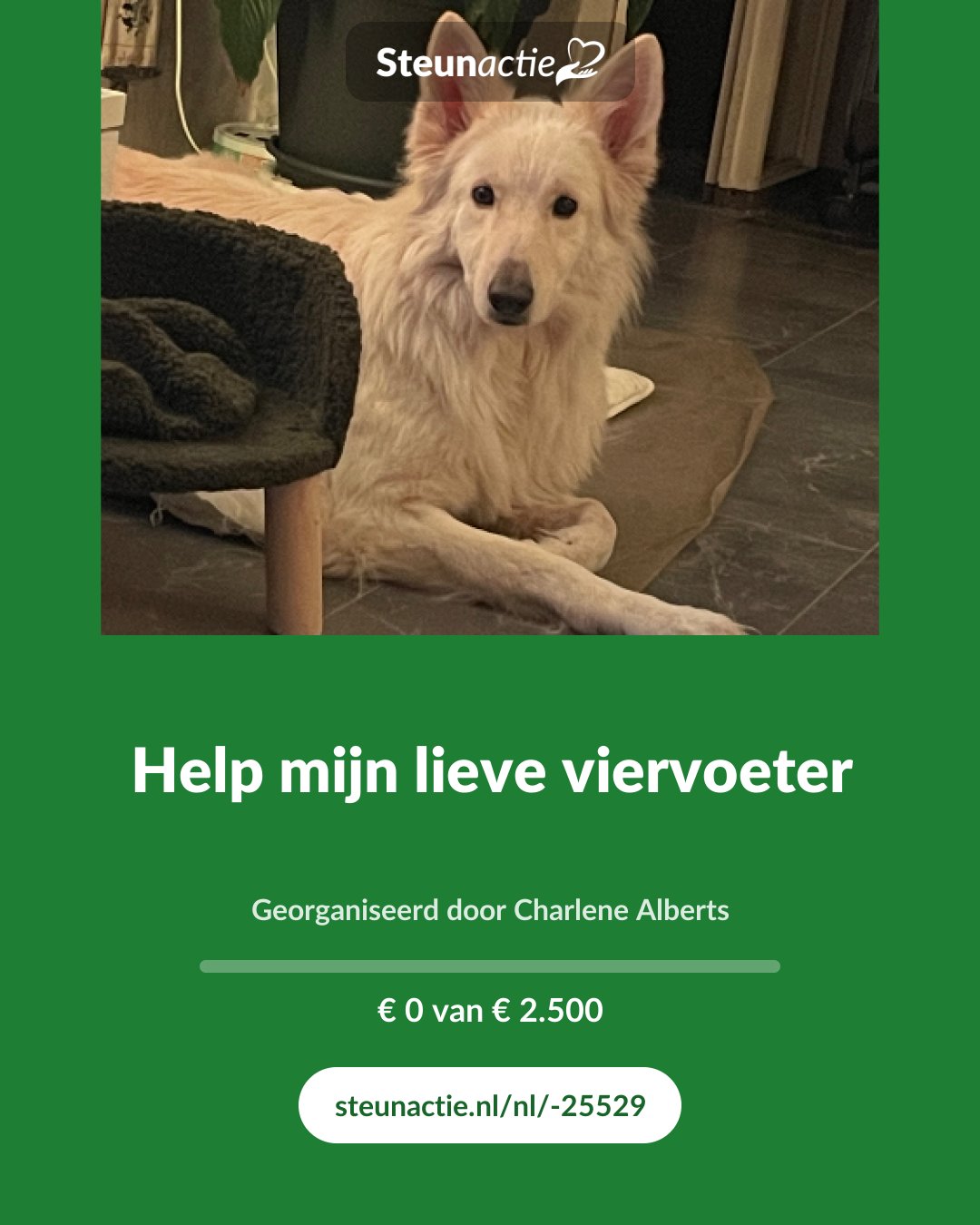 Voorbeeld van de afbeelding