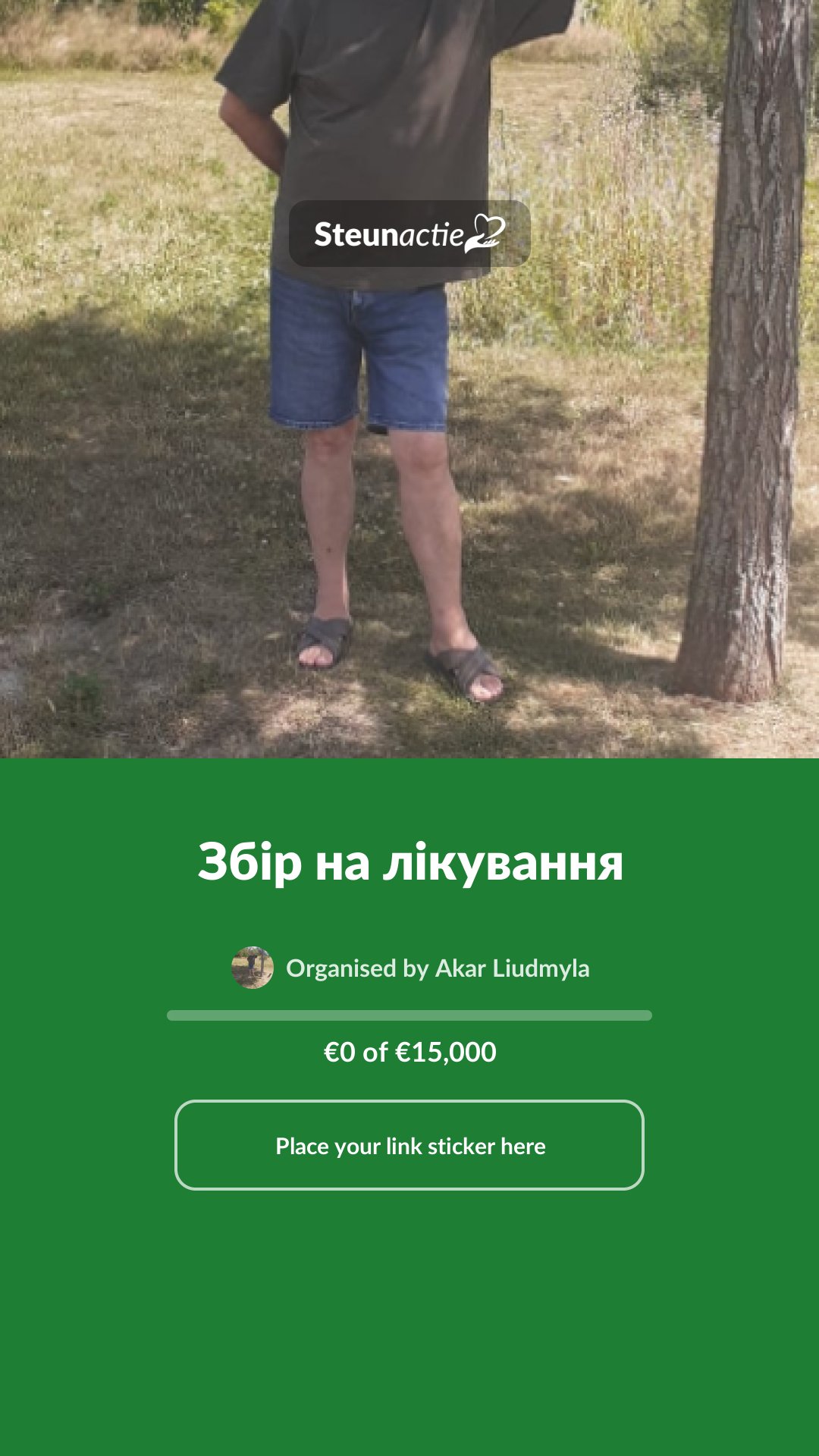 Preview of the image