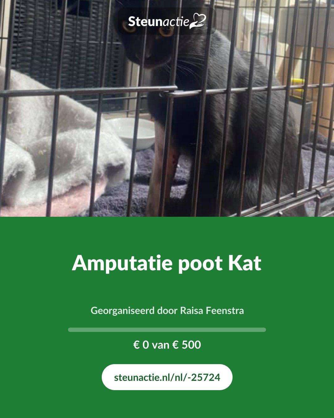 Voorbeeld van de afbeelding