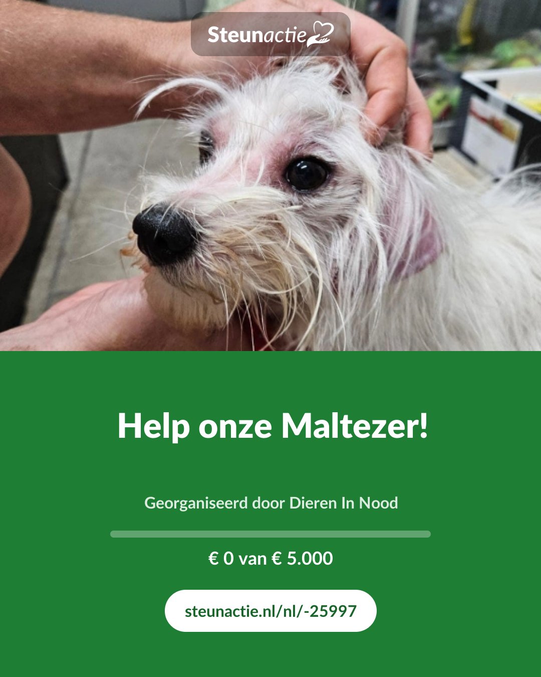 Voorbeeld van de afbeelding