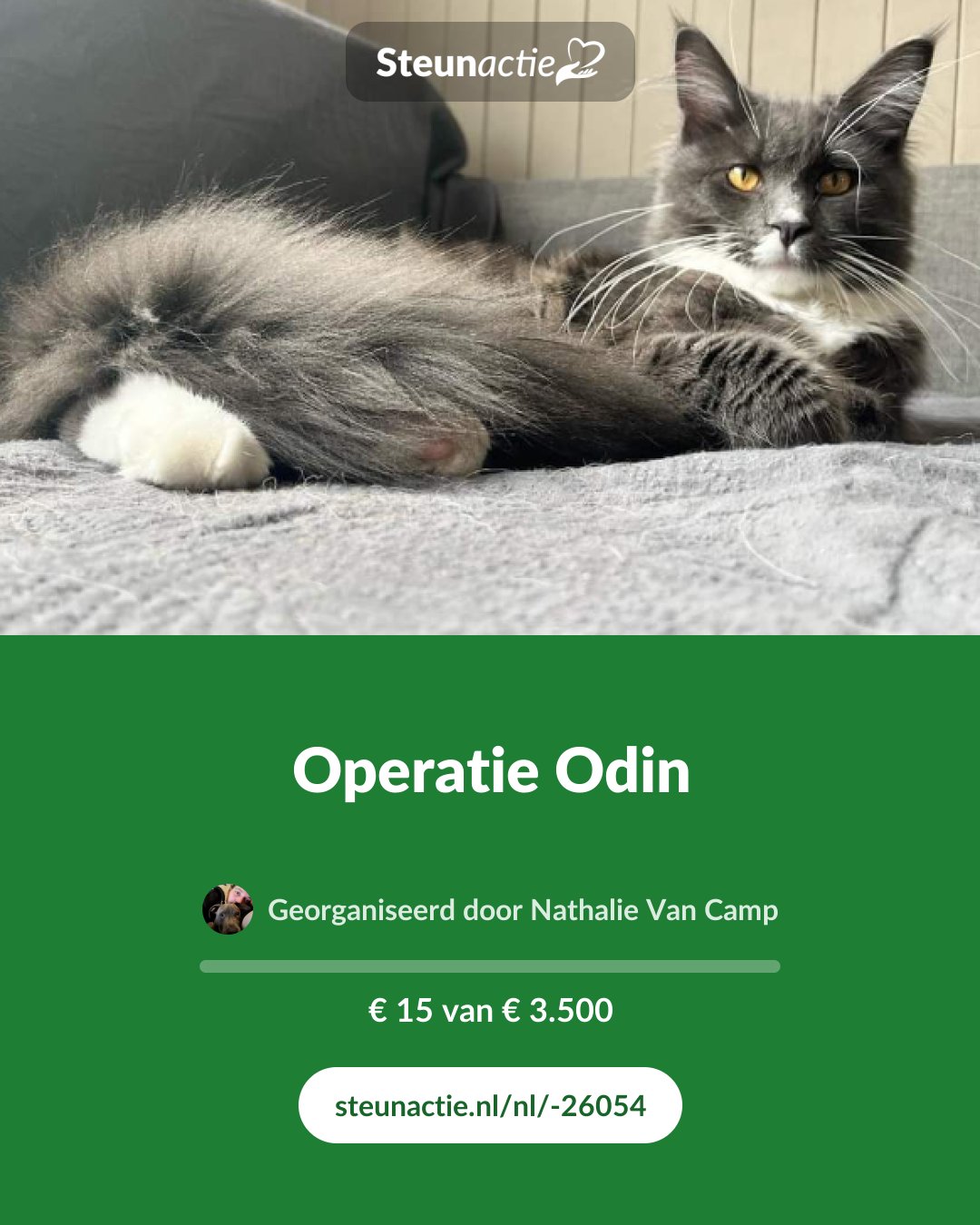 Voorbeeld van de afbeelding