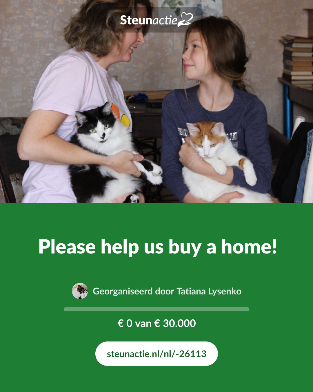 Voorbeeld van de afbeelding
