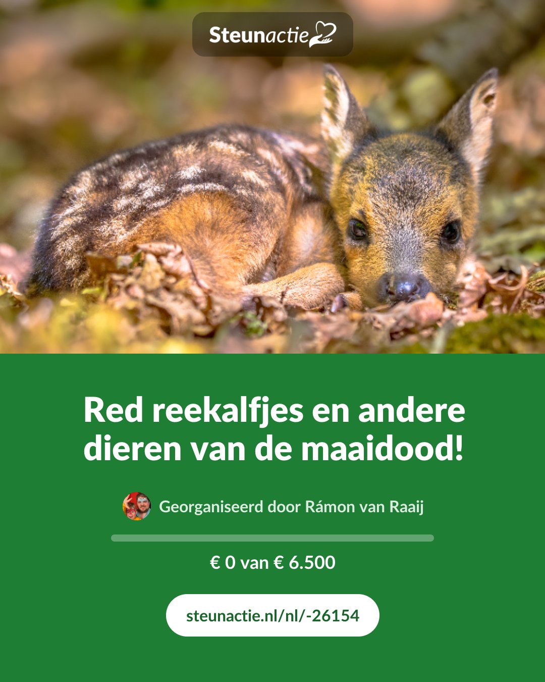 Voorbeeld van de afbeelding