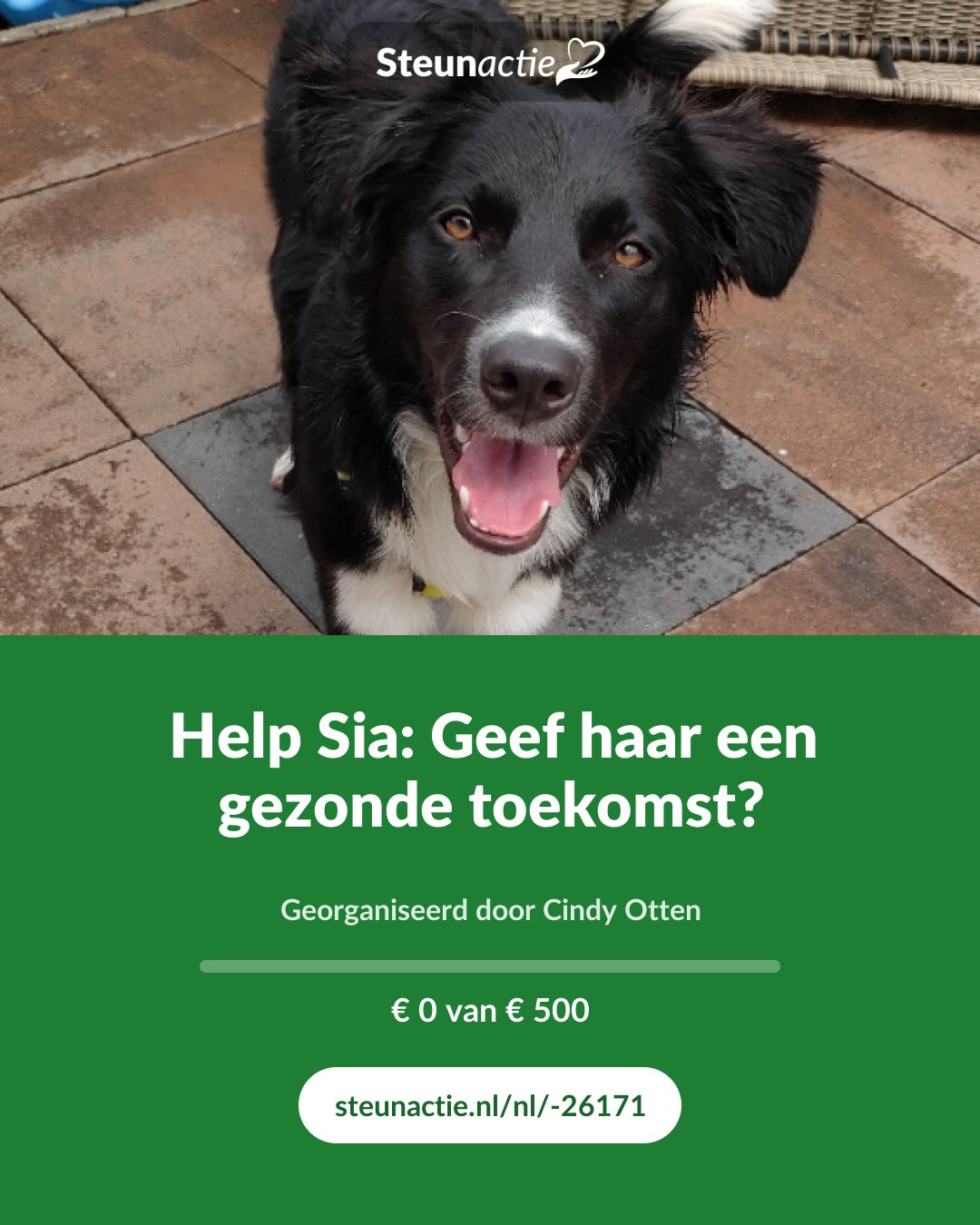 Voorbeeld van de afbeelding