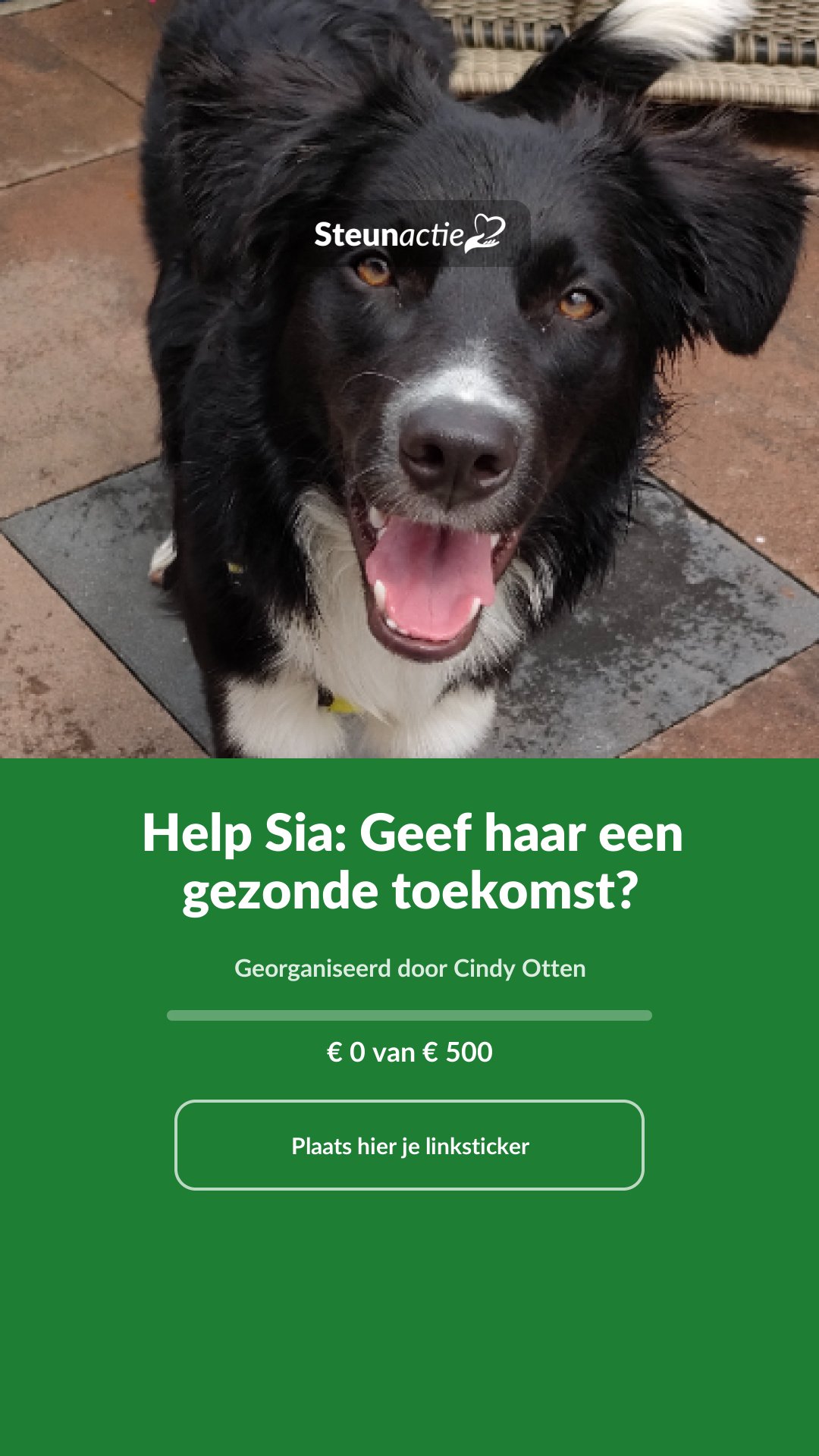 Voorbeeld van de afbeelding