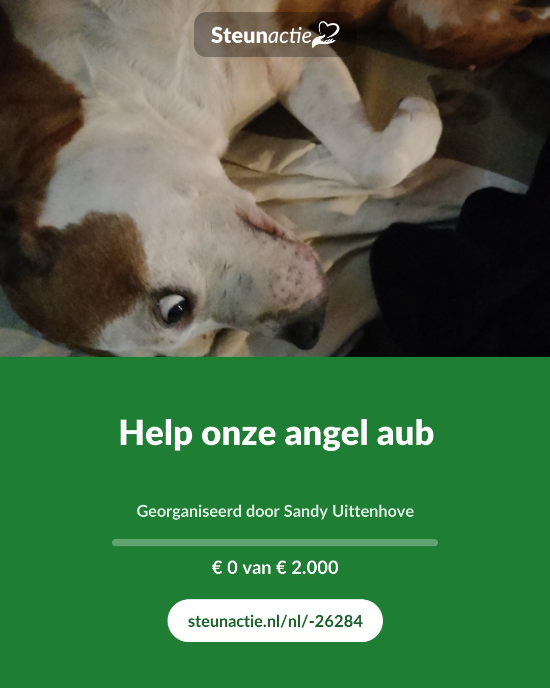 Voorbeeld van de afbeelding