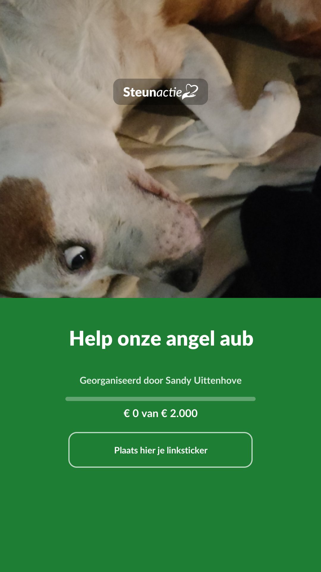 Voorbeeld van de afbeelding