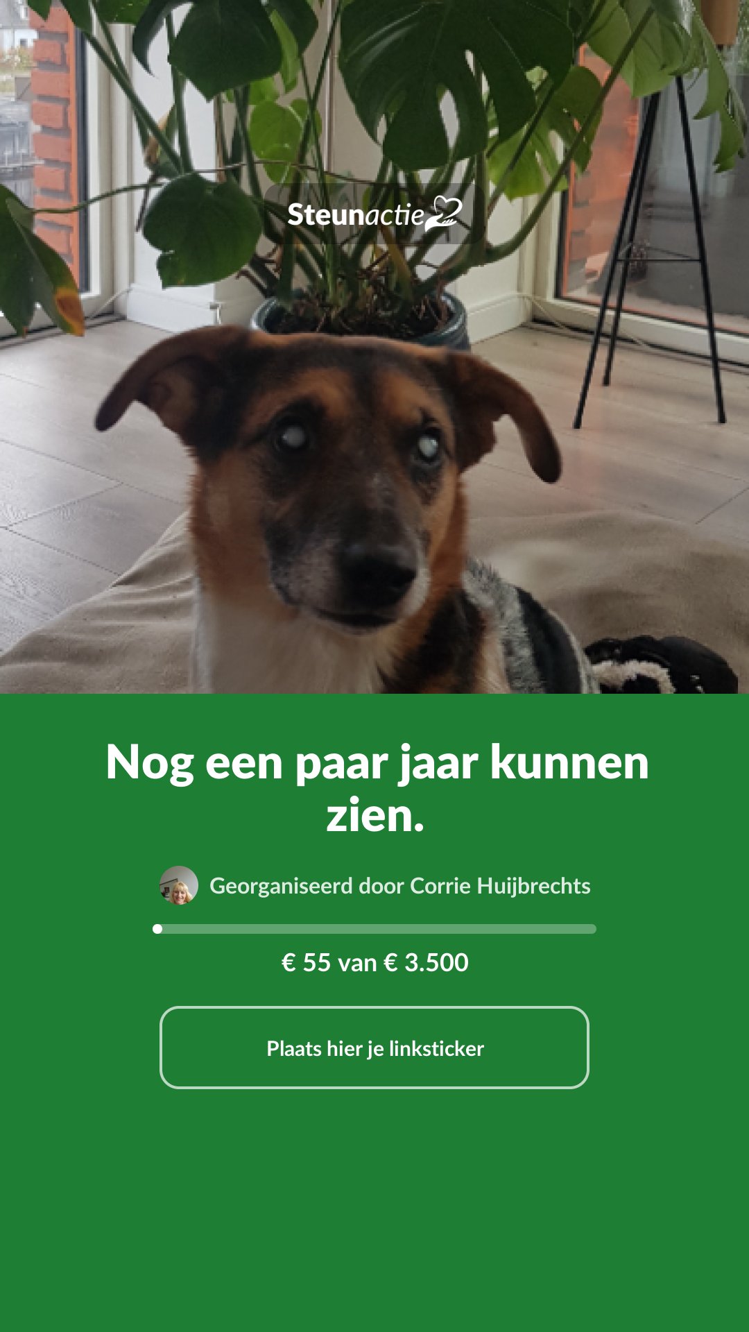 Voorbeeld van de afbeelding