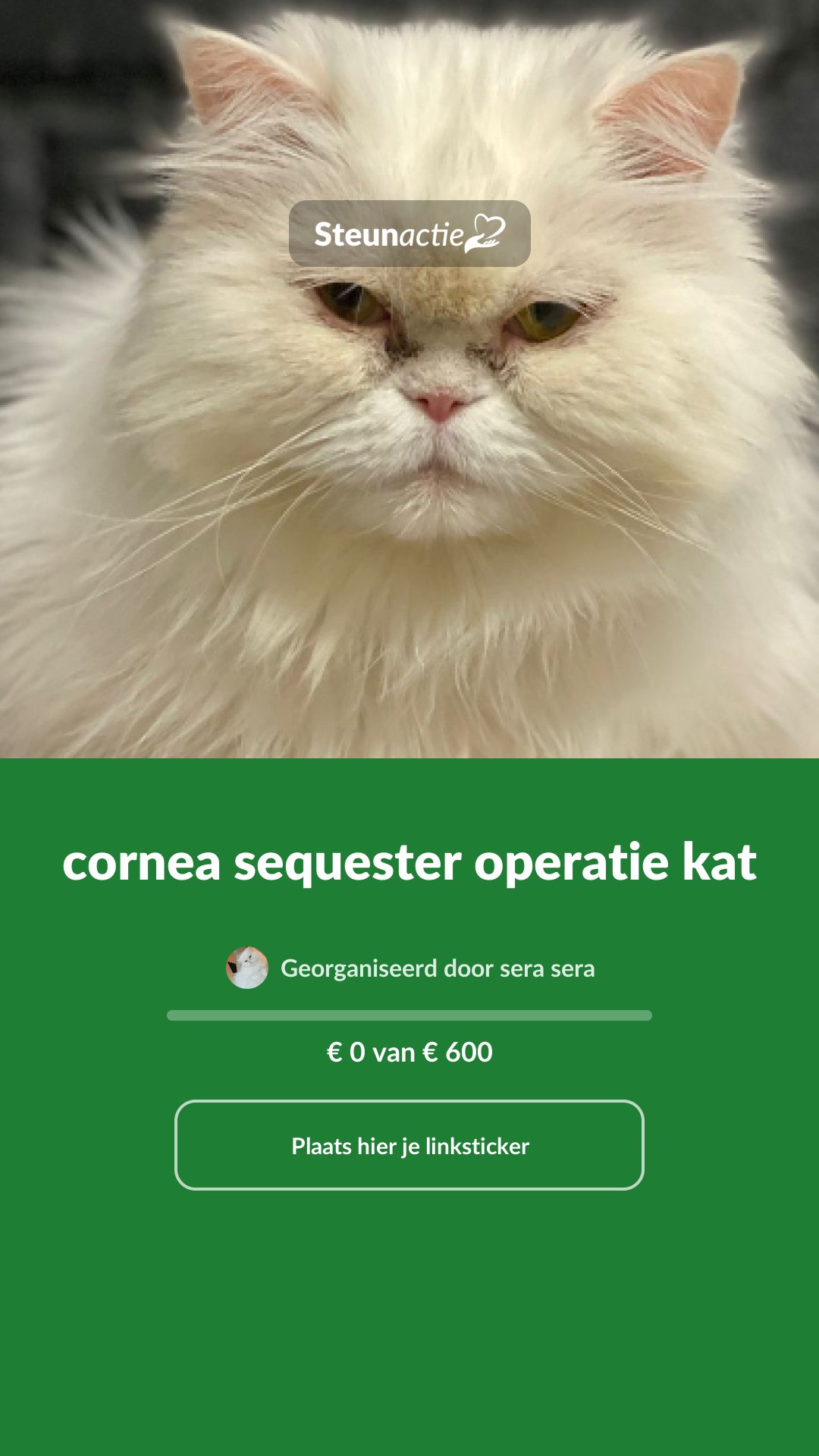 Voorbeeld van de afbeelding