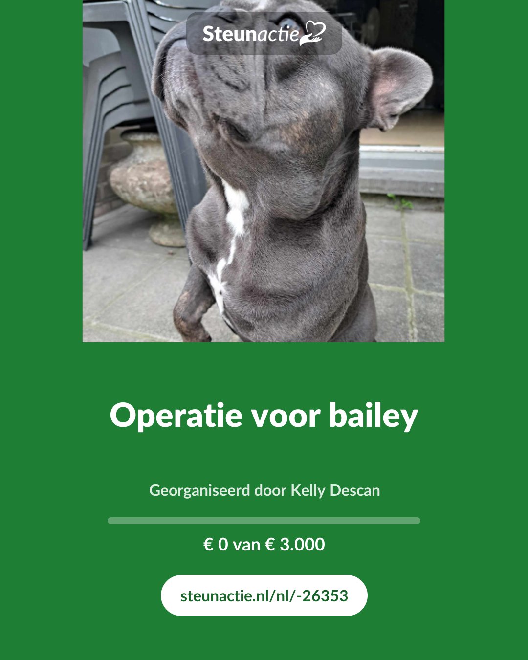Voorbeeld van de afbeelding