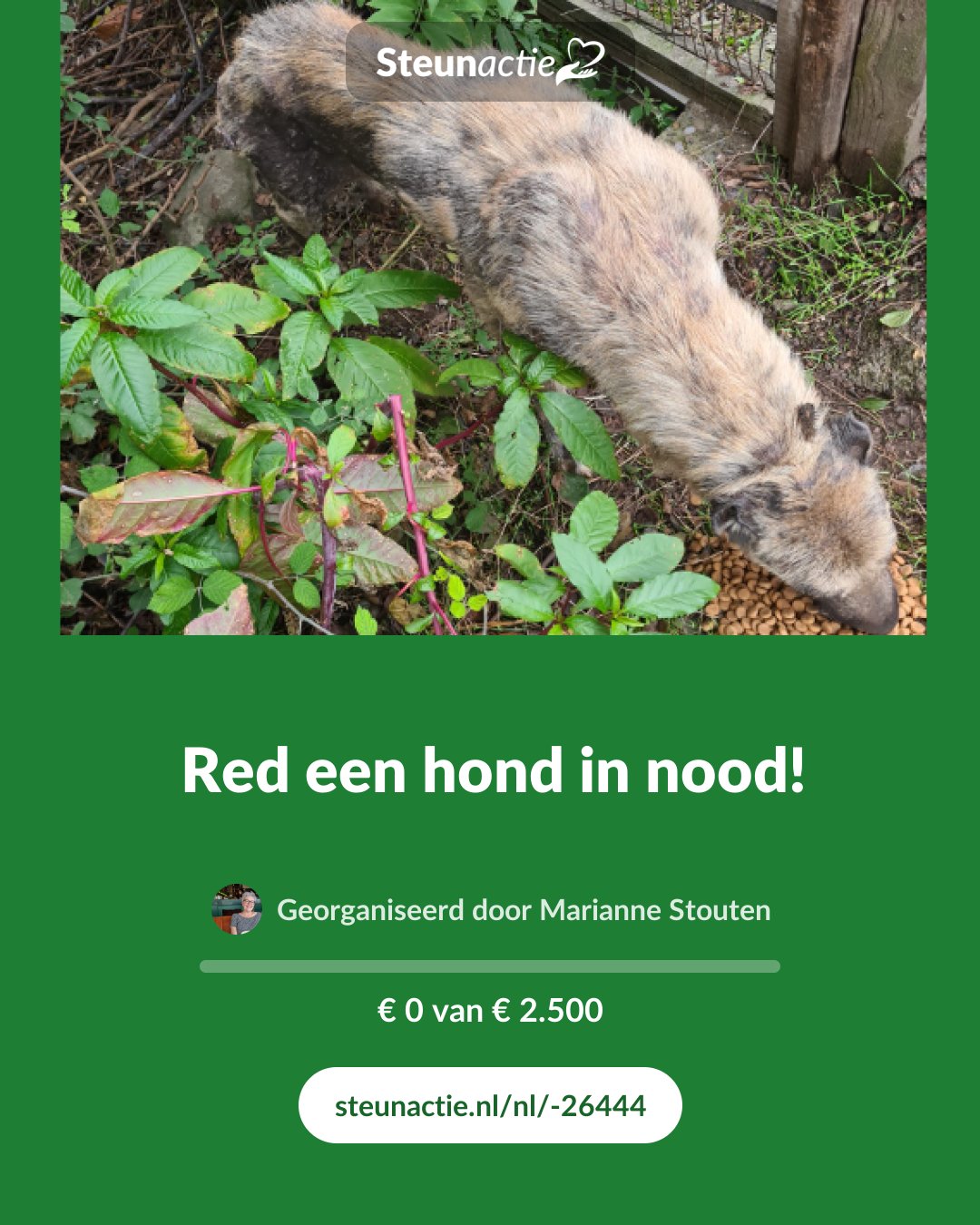 Voorbeeld van de afbeelding