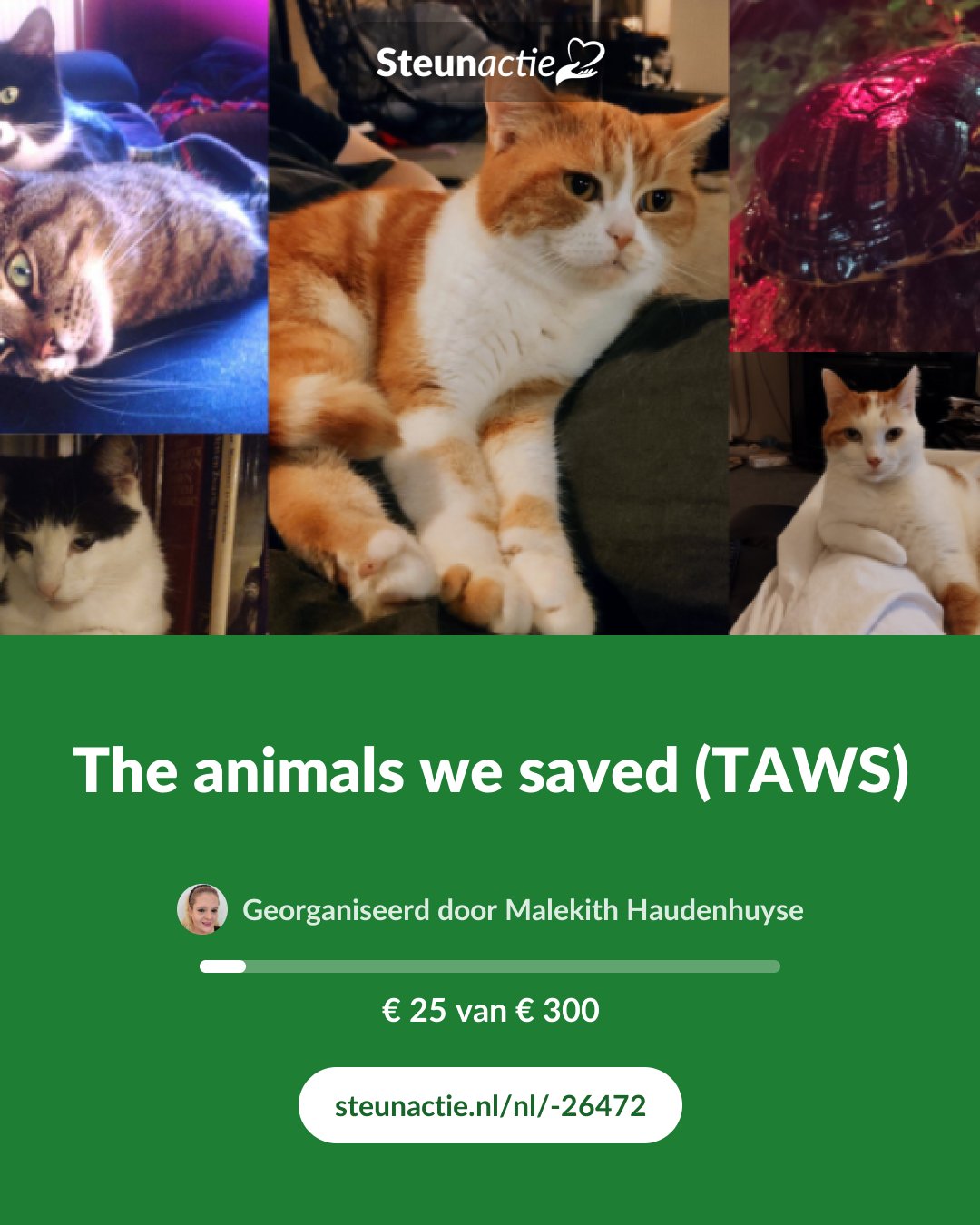Voorbeeld van de afbeelding