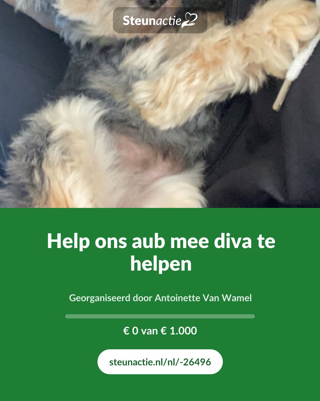 Voorbeeld van de afbeelding