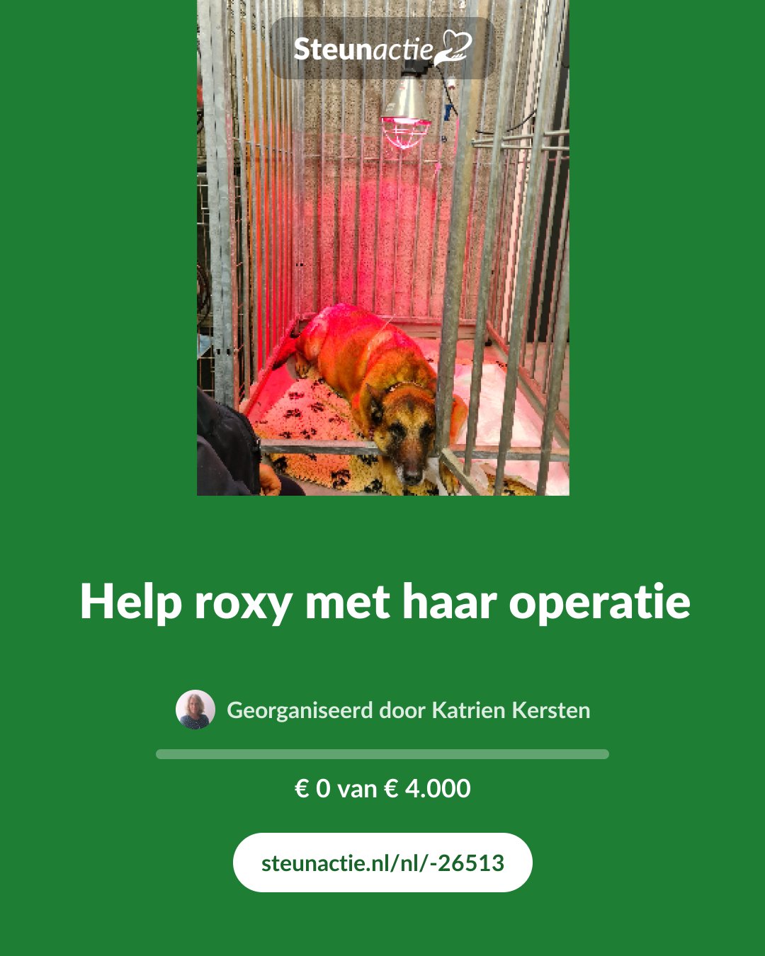 Voorbeeld van de afbeelding