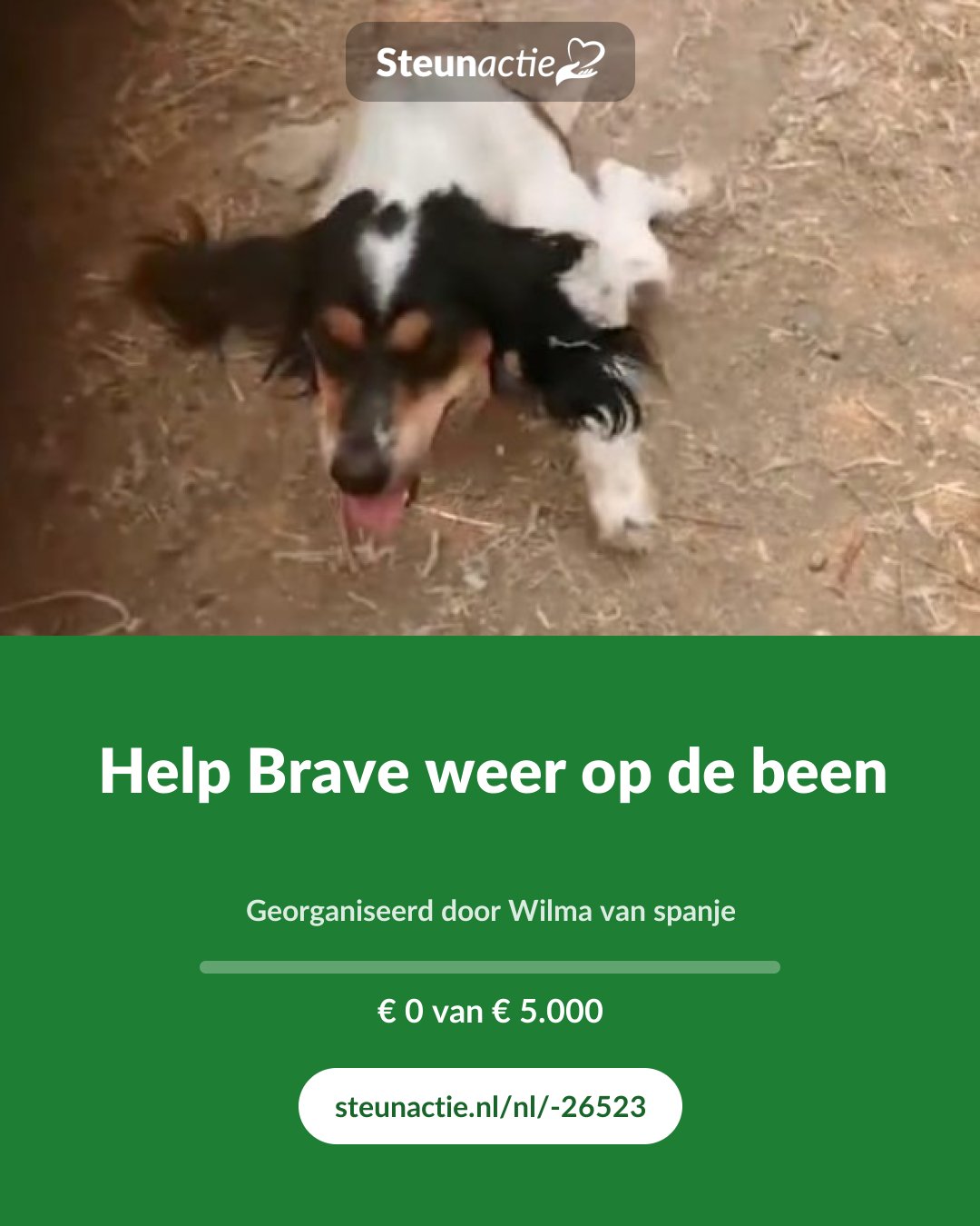 Voorbeeld van de afbeelding