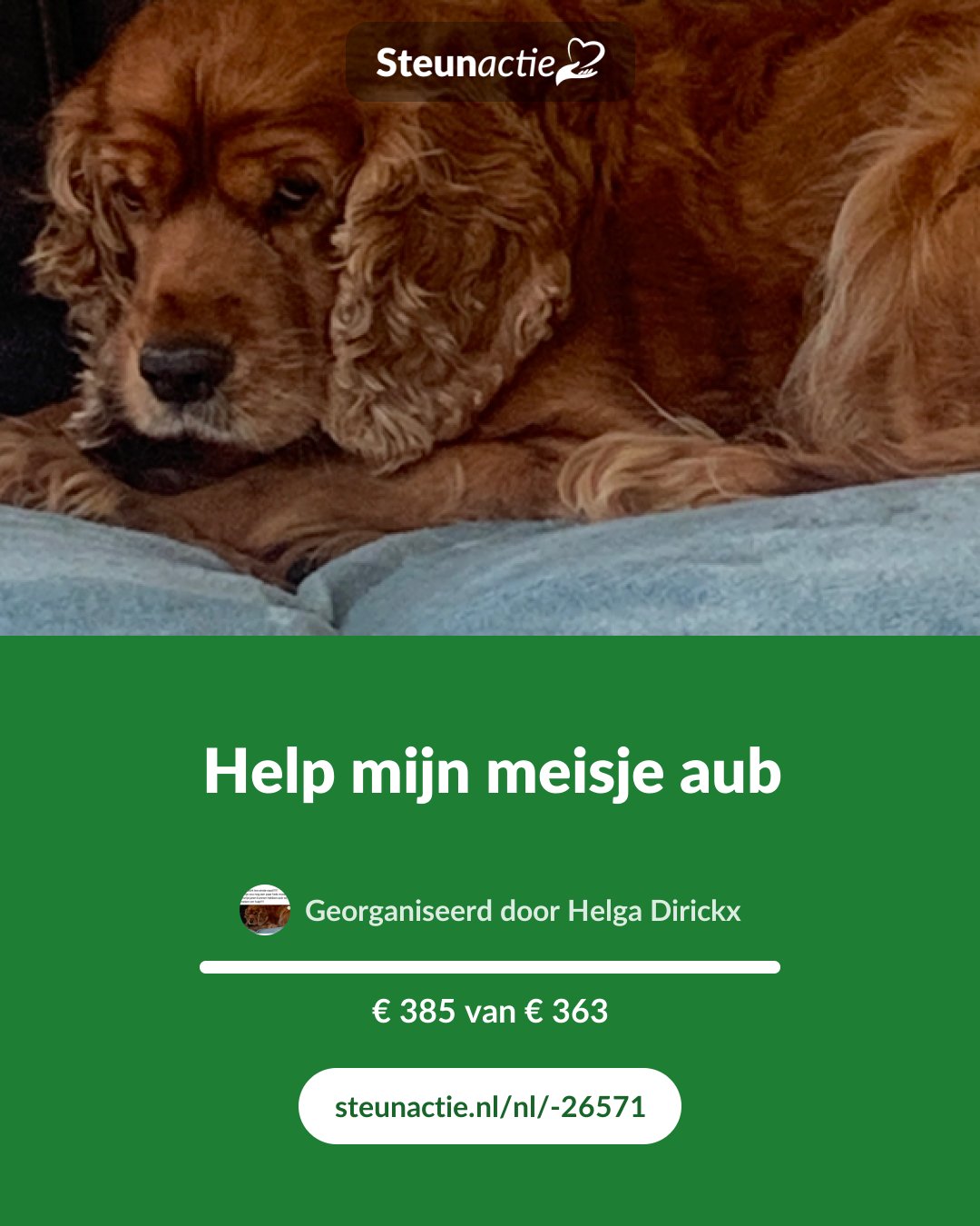 Voorbeeld van de afbeelding