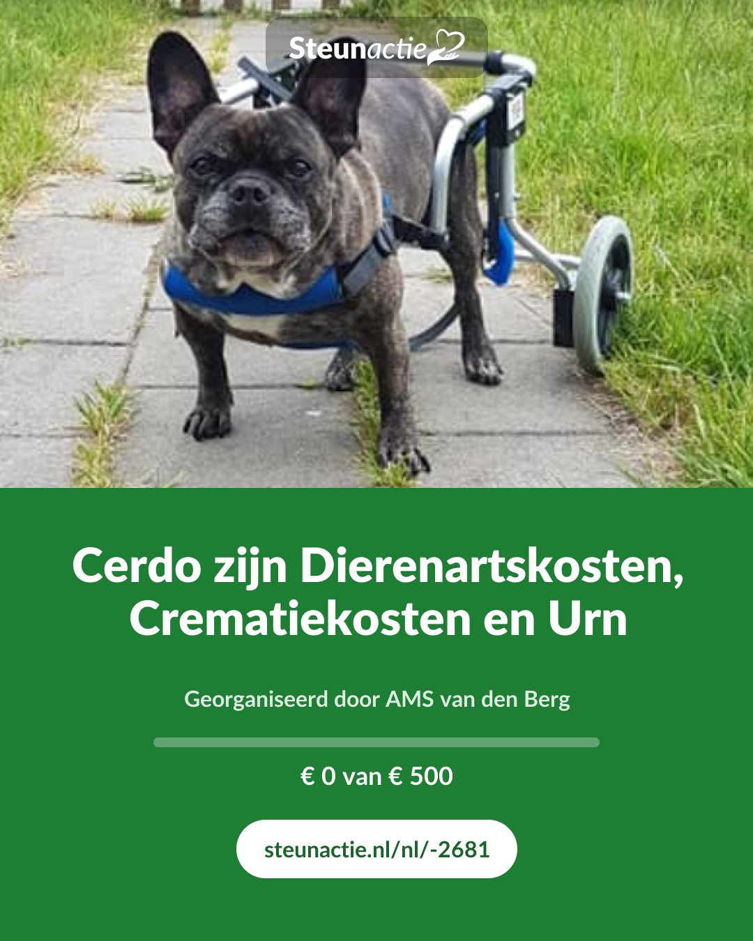 Voorbeeld van de afbeelding