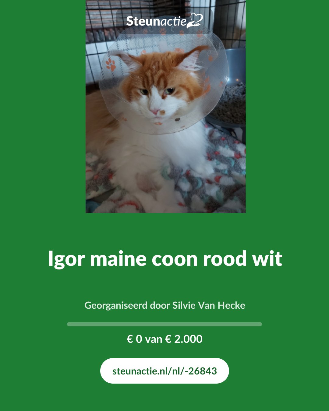 Voorbeeld van de afbeelding