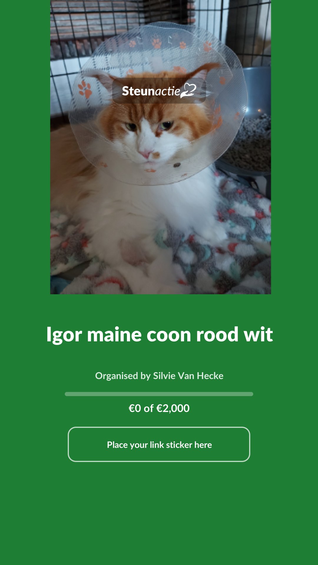 Preview of the image