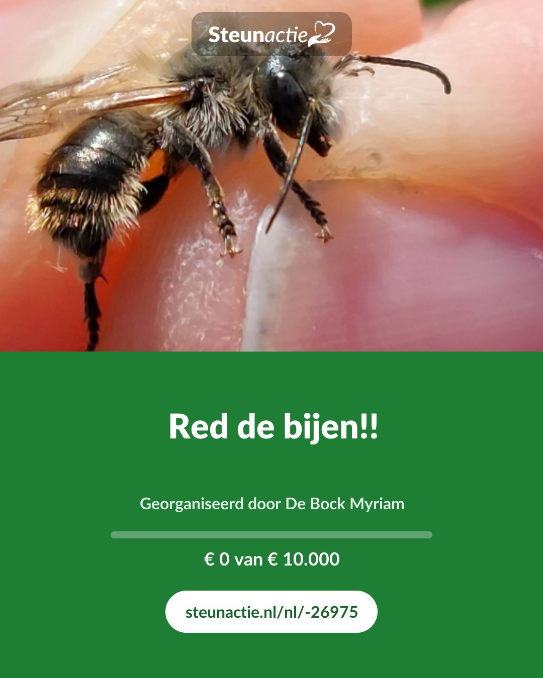 Voorbeeld van de afbeelding
