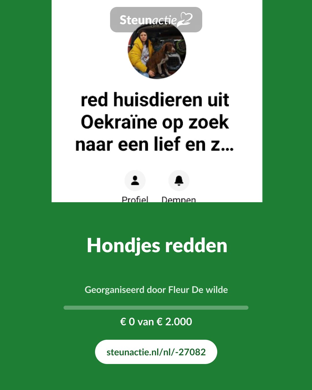 Voorbeeld van de afbeelding