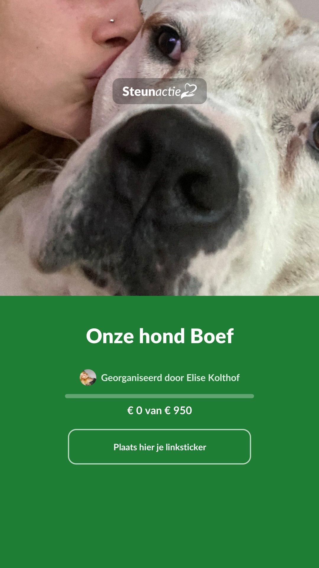Voorbeeld van de afbeelding