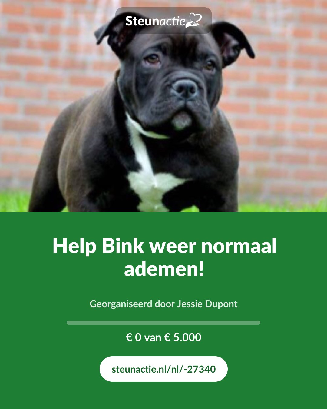 Voorbeeld van de afbeelding