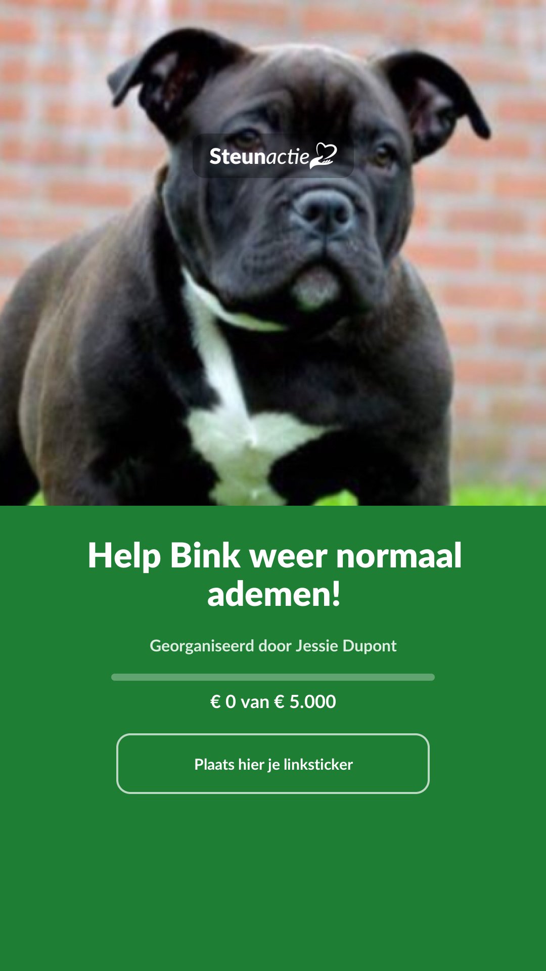 Voorbeeld van de afbeelding
