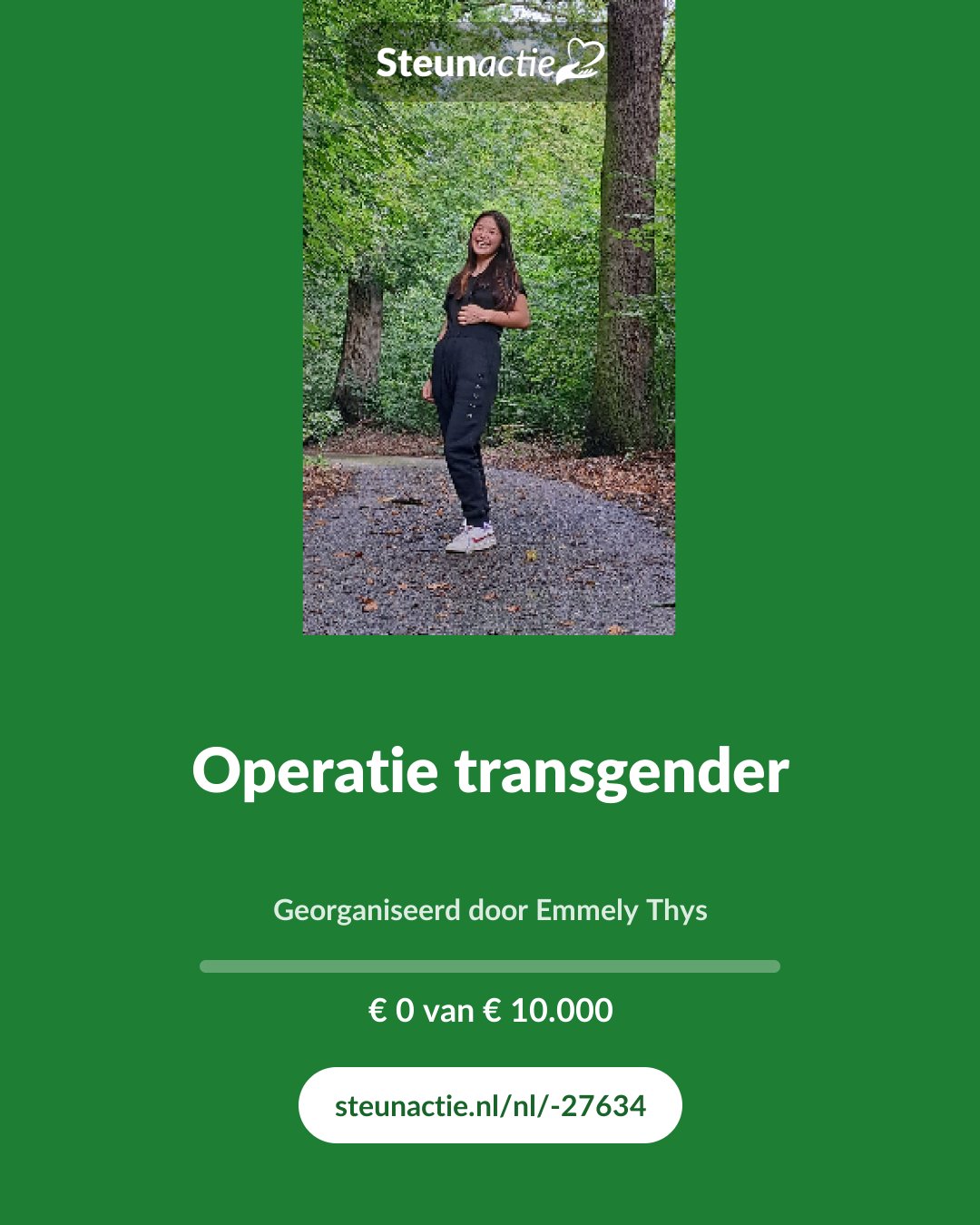 Voorbeeld van de afbeelding