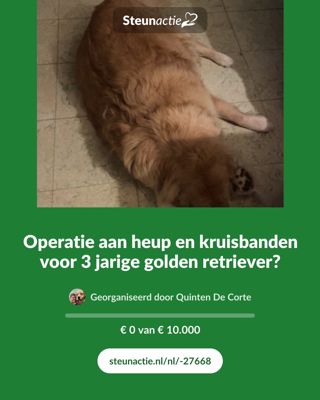 Voorbeeld van de afbeelding