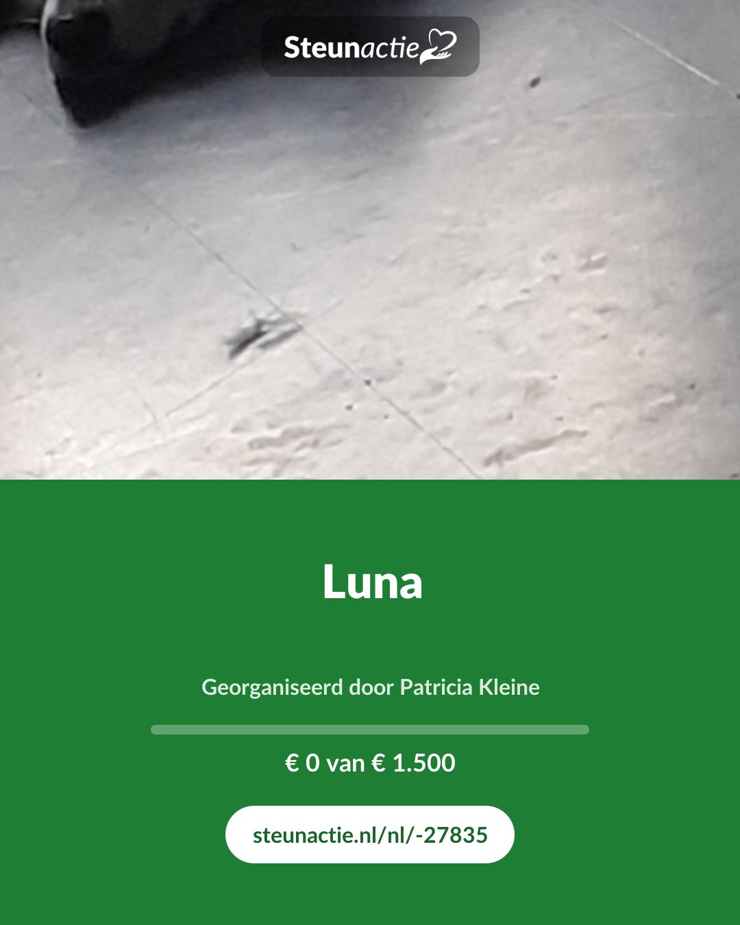 Voorbeeld van de afbeelding