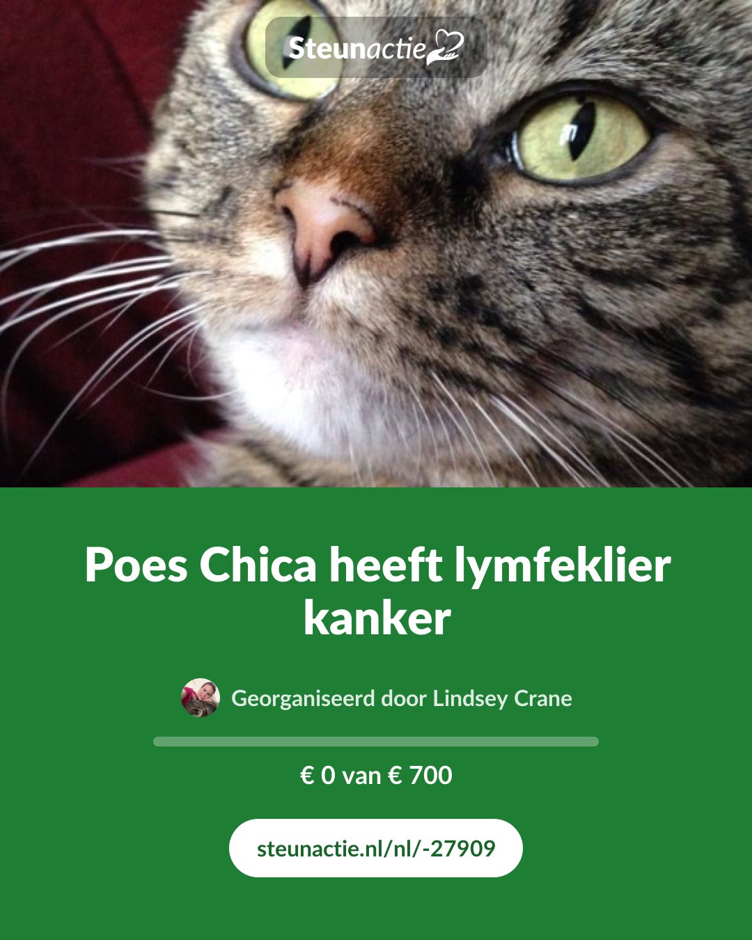 Voorbeeld van de afbeelding