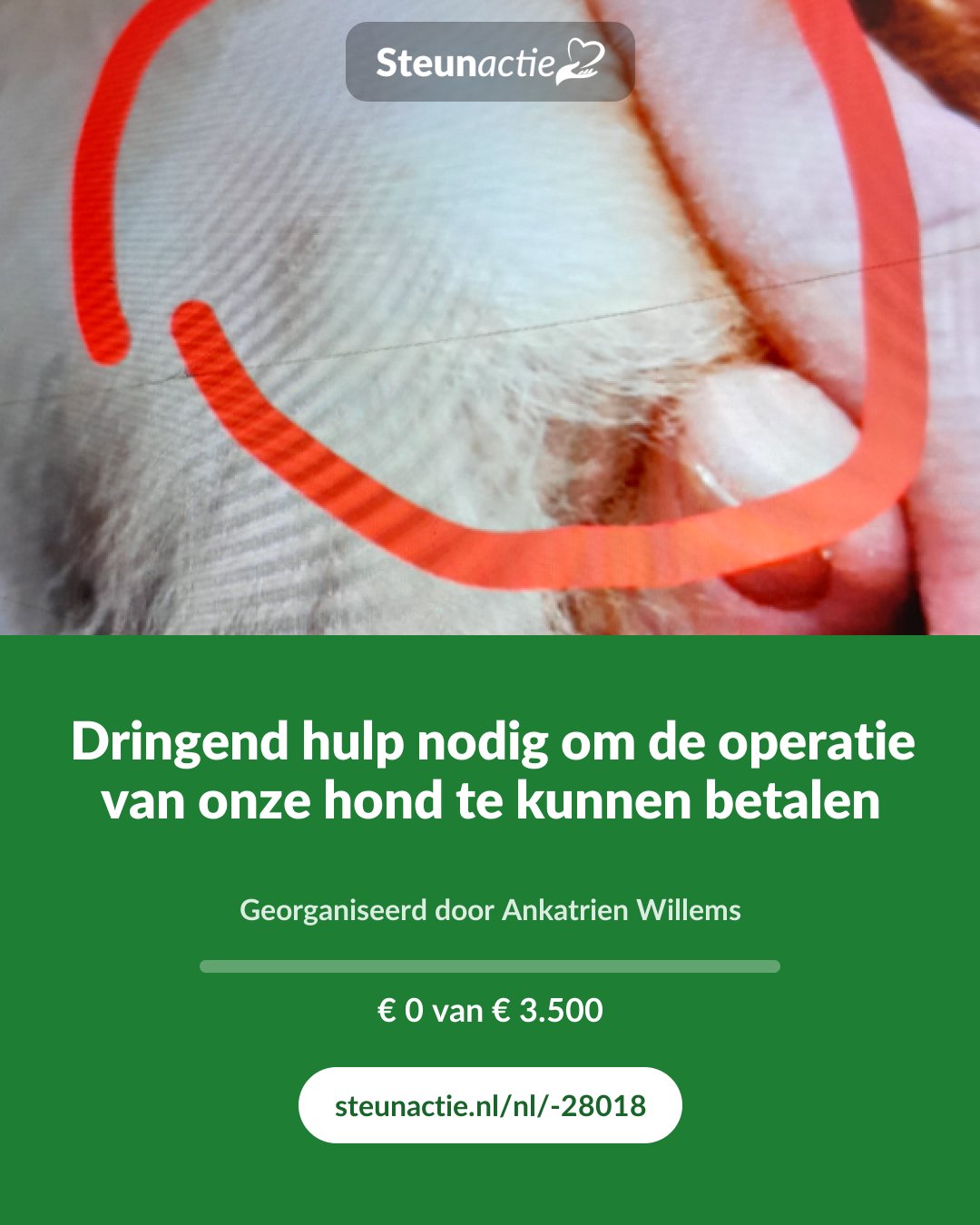 Voorbeeld van de afbeelding