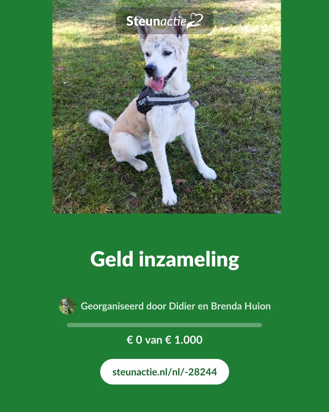 Voorbeeld van de afbeelding