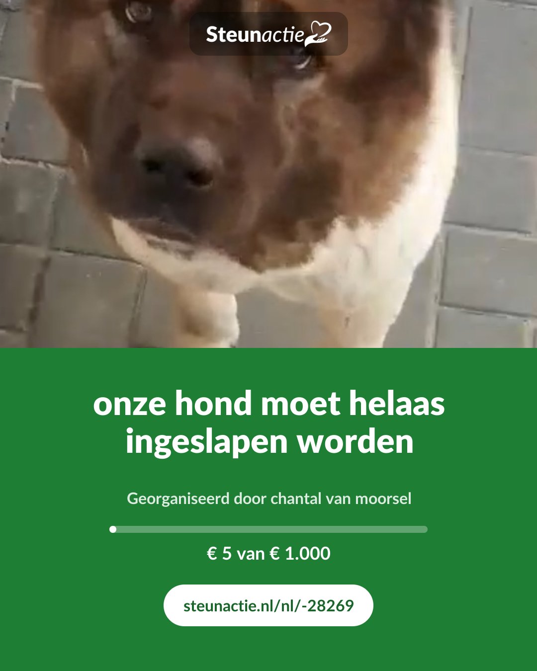 Voorbeeld van de afbeelding