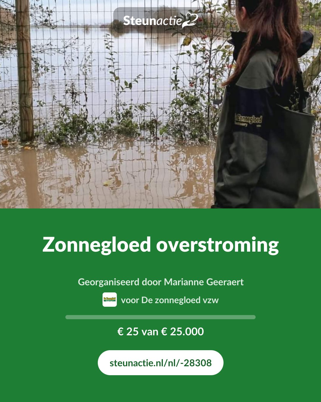 Voorbeeld van de afbeelding