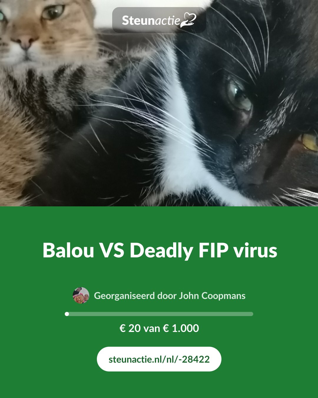 Voorbeeld van de afbeelding