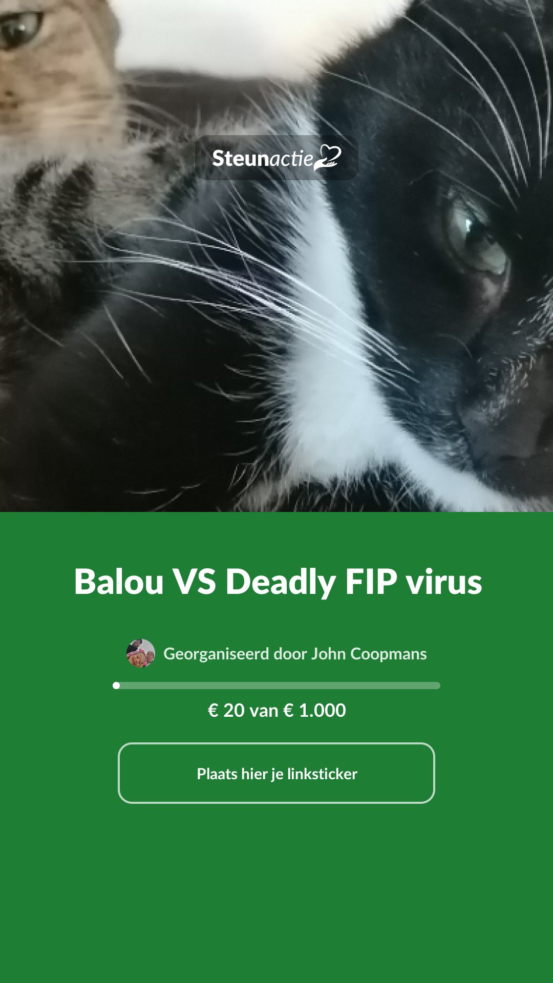 Voorbeeld van de afbeelding