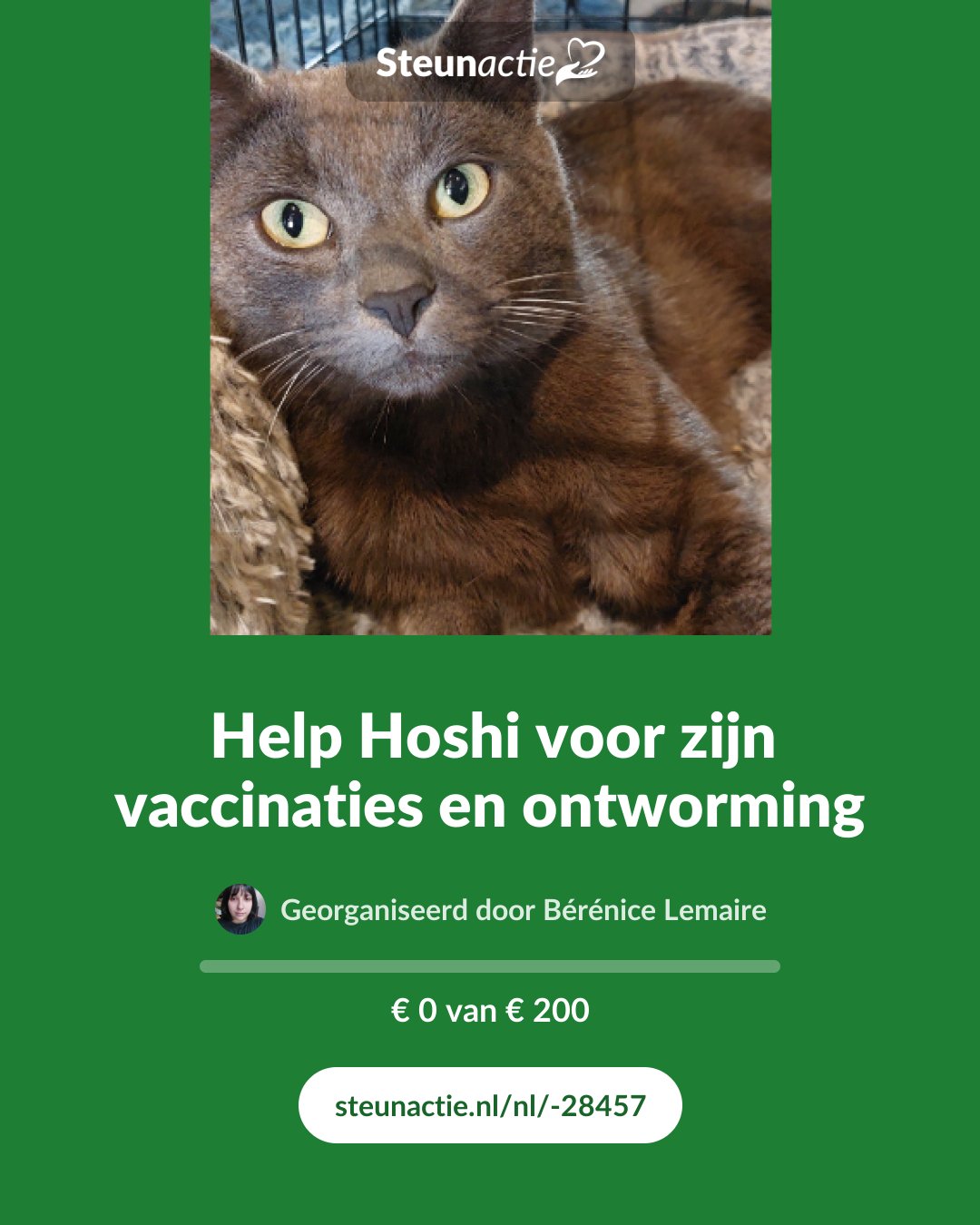Voorbeeld van de afbeelding