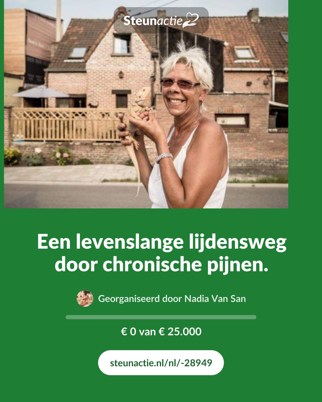Voorbeeld van de afbeelding