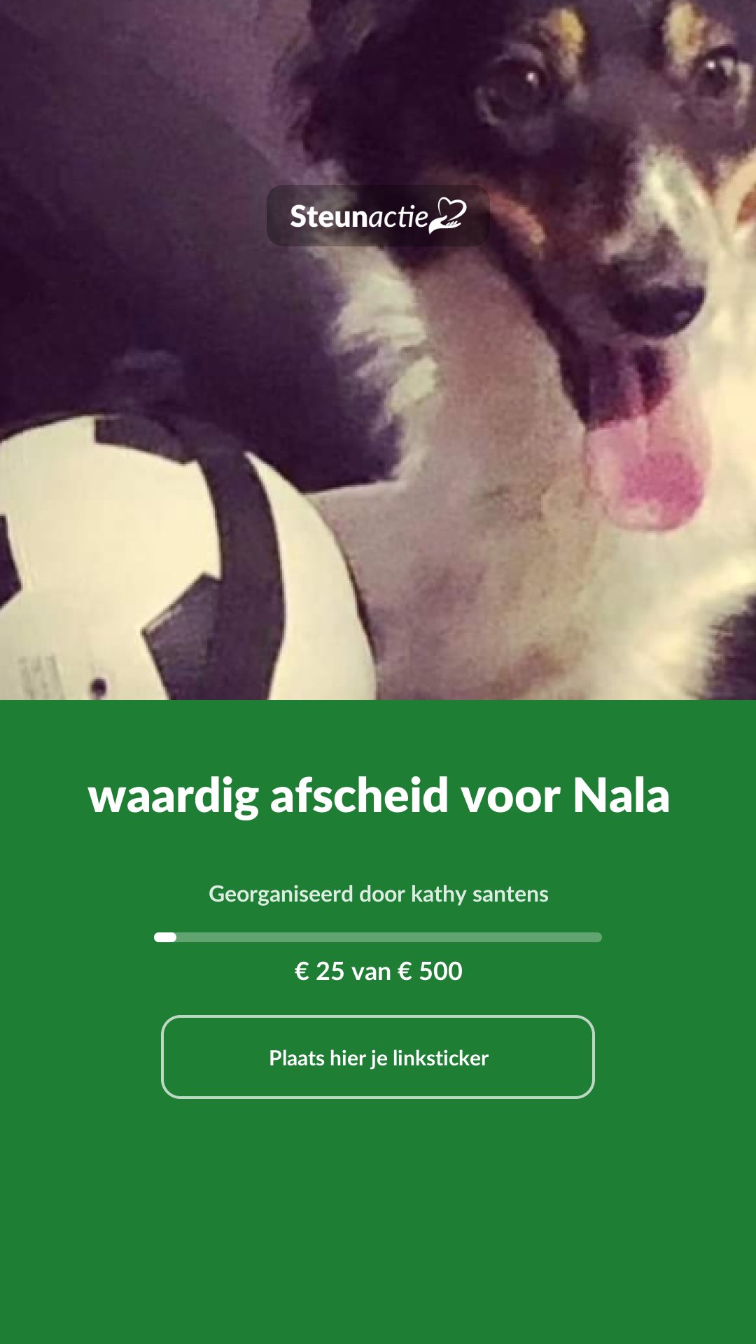 Voorbeeld van de afbeelding
