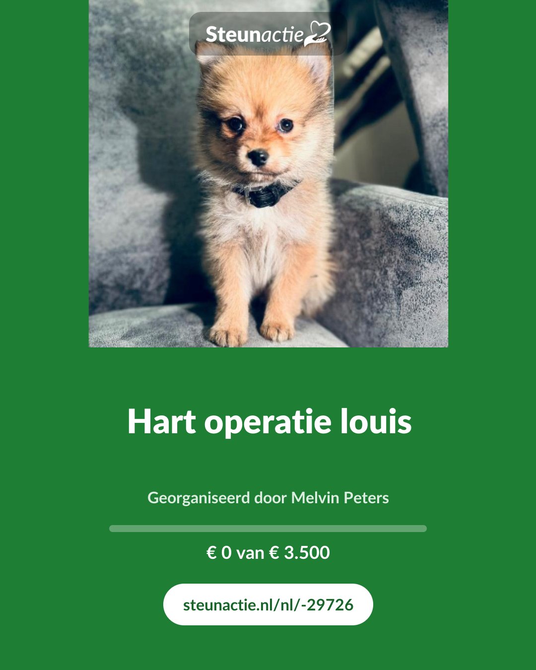 Voorbeeld van de afbeelding