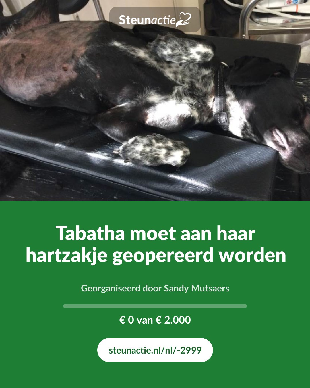Voorbeeld van de afbeelding