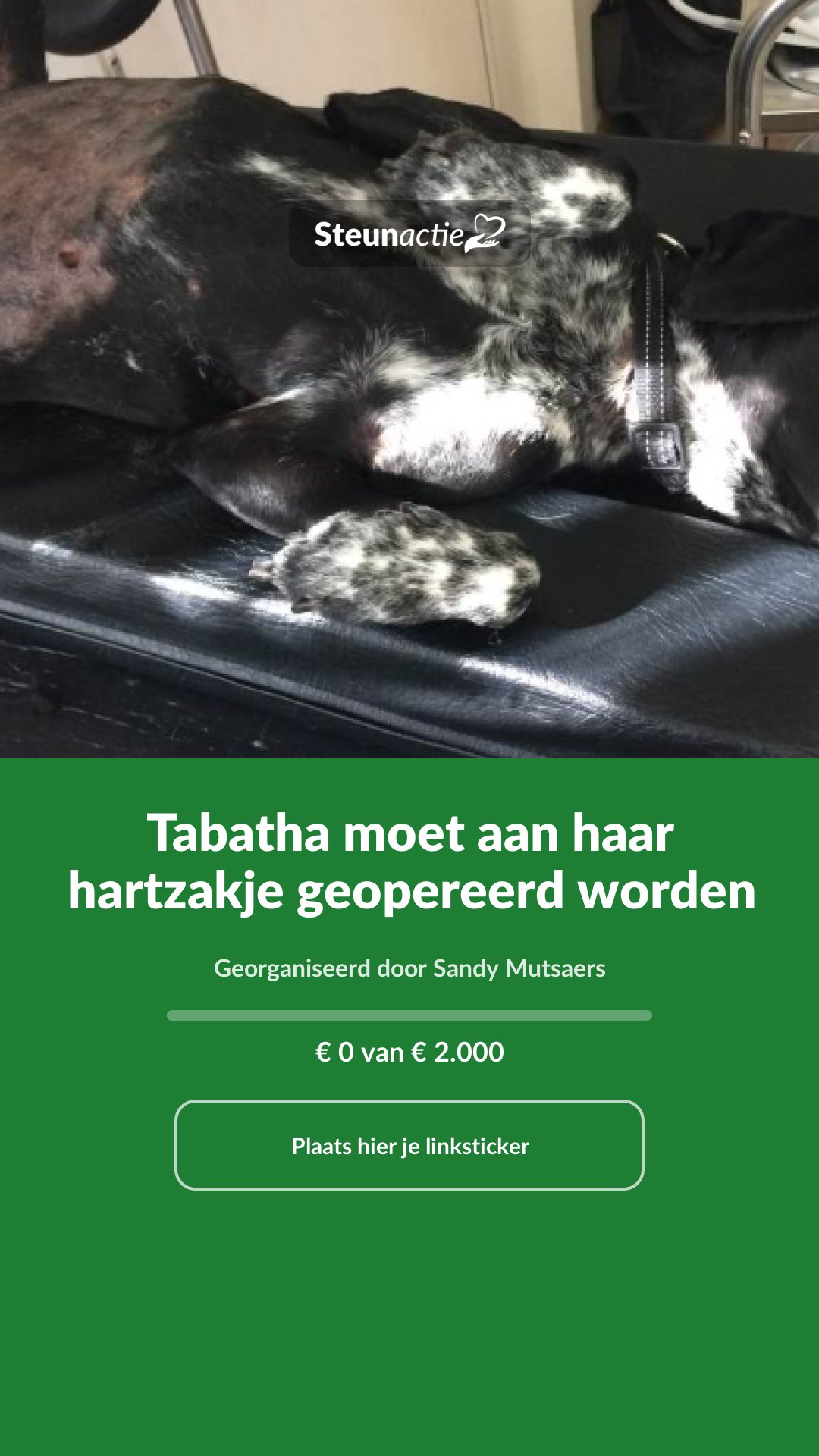 Voorbeeld van de afbeelding
