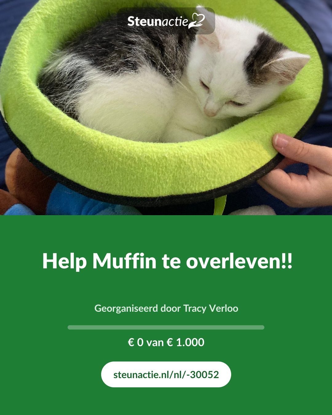 Voorbeeld van de afbeelding