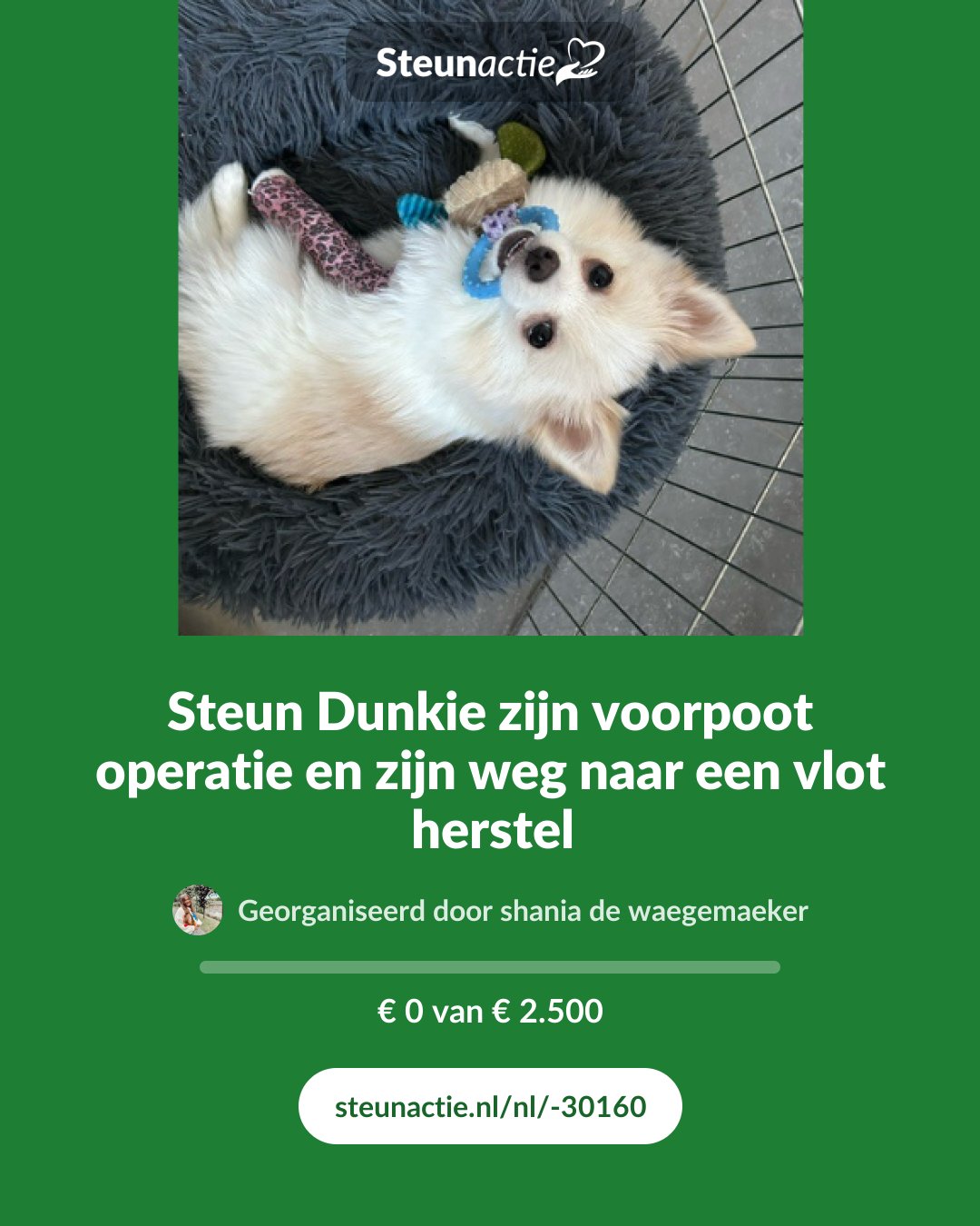 Voorbeeld van de afbeelding