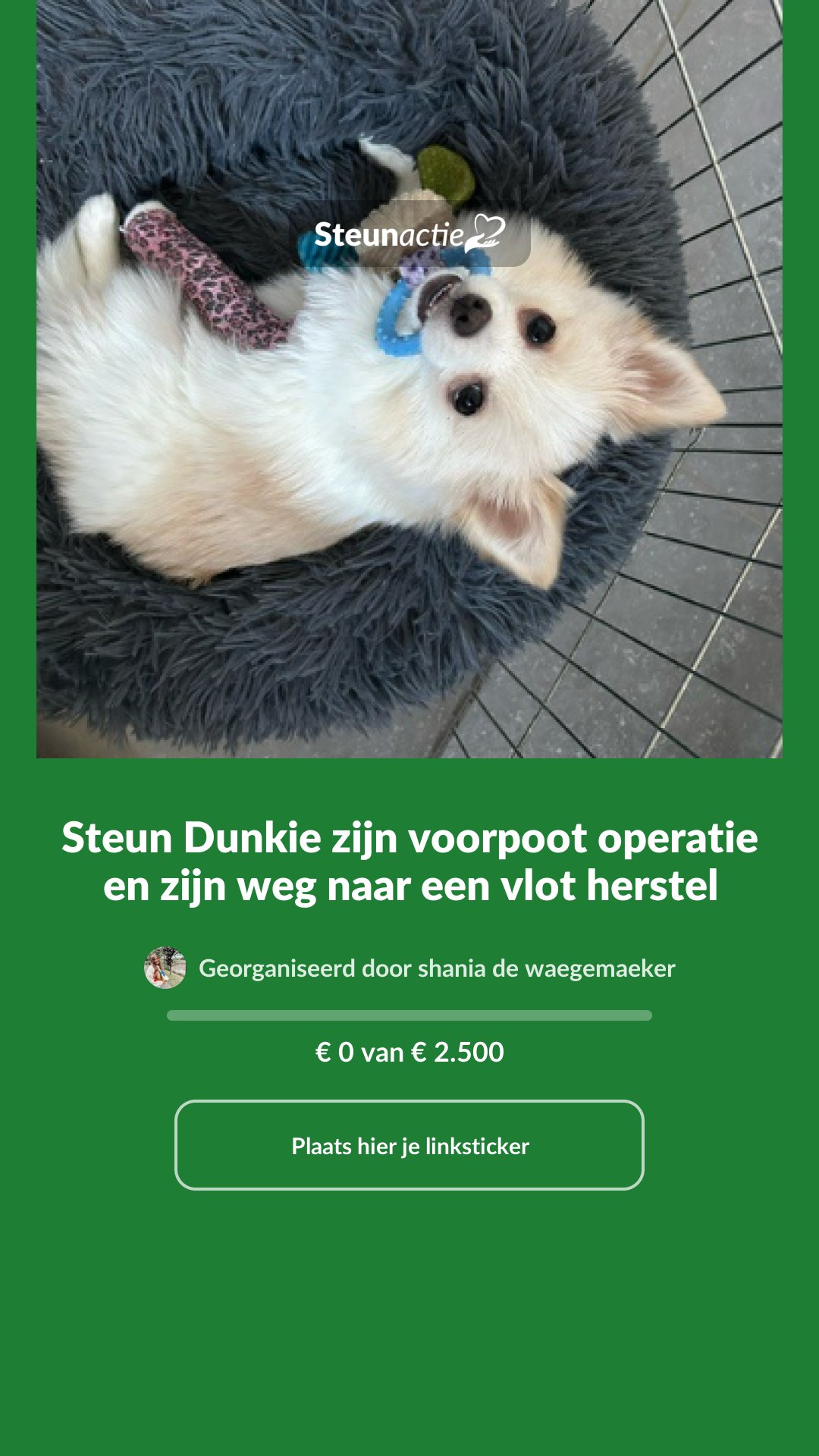 Voorbeeld van de afbeelding