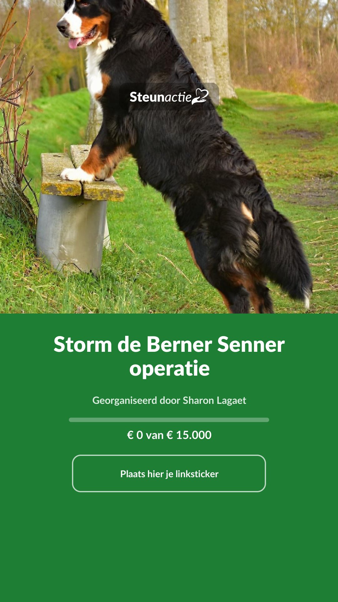 Voorbeeld van de afbeelding